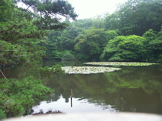 Image showing Tokyo garden