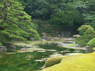 Image showing Tokyo garden