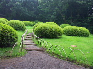 Image showing Tokyo garden