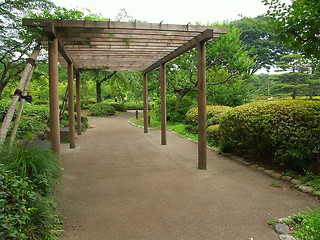 Image showing Tokyo garden