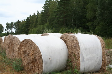 Image showing Feed for cows and horses