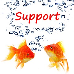 Image showing support