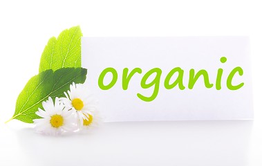 Image showing organic