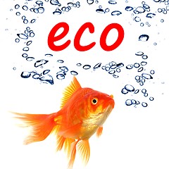 Image showing eco