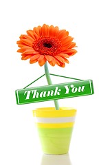 Image showing thank you