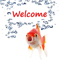 Image showing welcome