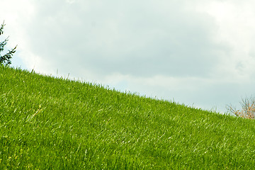 Image showing Green Grassy Hill, Clouds in Background