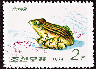 Image showing Canceled North Korean Postage Stamp Black Spotted Frog Pelophyla