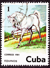 Image showing Canceled Cuban Postage Stamp Majestic White Horse Standing in Pa