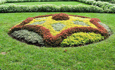 Image showing Abstract Shape Created With Plants in Ornamental Garden
