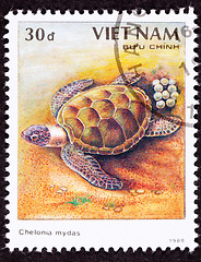 Image showing Canceled Vietnamese Postage Stamp Egg Laying Green Turtle Chelon