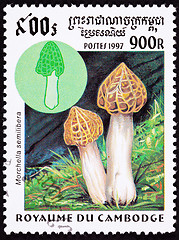 Image showing Canceled Cambodian Postage Stamp Clump Morel Mushroom, Morchella