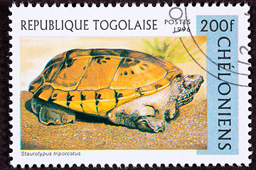 Image showing Canceled Togan Postage Stamp Orange Mexican Musk Turtle, Staurot