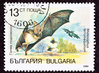 Image showing Bulgarian Postage Stamp Flying Horseshoe Bat Rhinolophus Ferrume