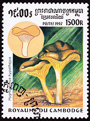 Image showing Canceled Cambodian Postage Stamp Herald of Winter Mushroom, Hygr