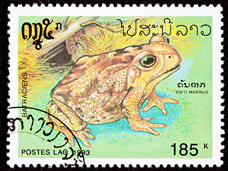 Image showing Canceled Laotian Postage Stamp Marine Cane Toad Bufo Marinus