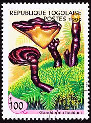 Image showing Canceled Togo Postage Stamp Lingzhi Chinese Medicinal Mushroom G