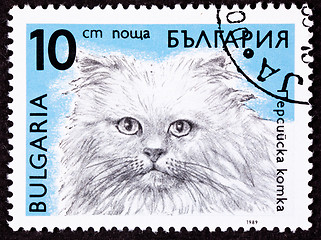Image showing Canceled Bulgarian Postage Stamp Fuzzy Longhaired Himalayan Cat 