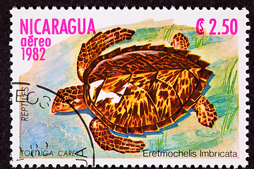 Image showing Canceled Nicaraguan Postage Stamp Hawksbill Sea Turtle Eretmoche
