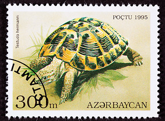 Image showing Canceled Azerbaijan Postage Stamp Yellow Hermann's Tortoise Test