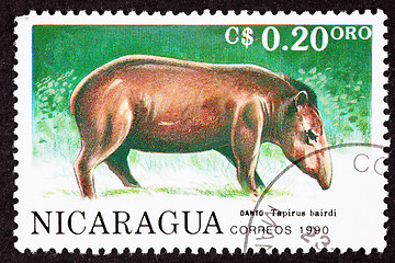 Image showing Canceled Nicaraguan Postage Stamp Side View Standing Tapir, Tapi