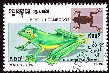 Image showing Cambodian Postage Stamp Wallace's Flying Frog, Rhacophorus Nigro