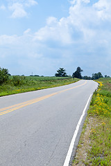 Image showing Vertical Curvy Country Road Soybean Field on Left