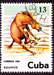 Image showing Canceled Cuban Postage Stamp Wild Horse Leaping Corral Lasso Nec