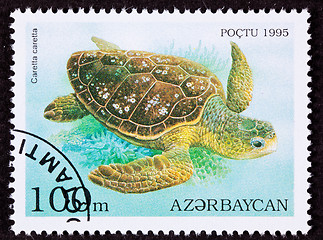 Image showing Canceled Azerbaijan Postage Stamp Swimming Loggerhead Sea Turtle