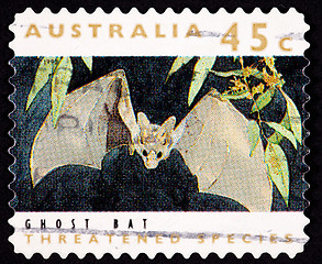 Image showing Canceled Australian Postage Stamp Ghost Bat, Macroderma gigas, F