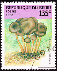 Image showing Canceled Benin Postage Stamp Clump Mushroom Tephrocybe Anthracop