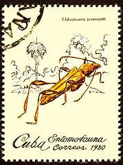 Image showing Canceled Cuban Postage Stamp Cricket Like Insect Odontocera Jose