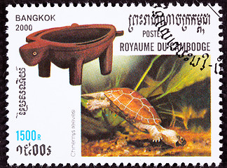 Image showing Canceled Cambodian Postage Stamp Swimming Chinese Pond Turtle Ch