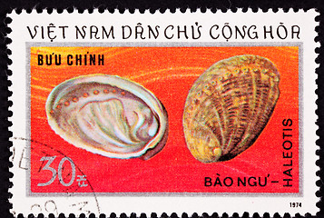 Image showing Vietnamese Postage Stamp Empty Abalone Shells Haliotis Mother of