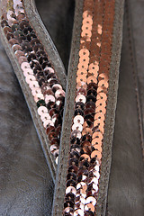 Image showing Close-up of bag