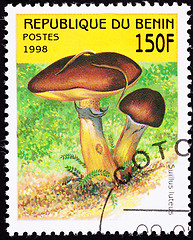 Image showing Canceled Benin Postage Stamp Clump Slippery Jack Mushrooms, Suil