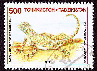 Image showing Canceled Tajikistan Postage Stamp Sunwatcher Toadhead Agama, Liz
