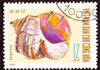 Image showing North Vietnamese Postage Stamp Conch Shell