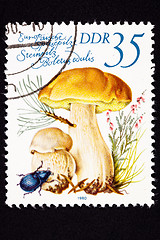 Image showing Canceled East German Postage Stamp Porcini Mushroom, Boletus Edu