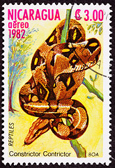 Image showing Canceled Nicaraguan Postage Stamp Coiled Snake Red Tailed Boa Co
