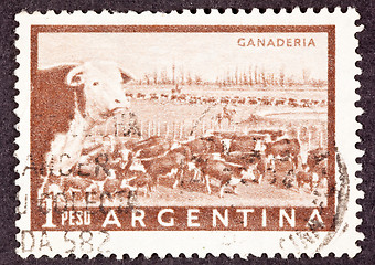 Image showing Canceled Argentinean Postage Stamp Heard of Beef Cattle Argentin