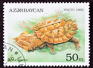 Image showing Azerbaijan Postage Stamp Turtle Mata Mata- Chelus Fimbriatus Lea