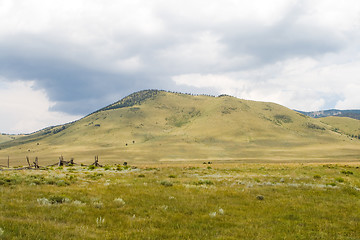 Image showing Alpine Mountain Meadow Enchanted Circle New Mexico