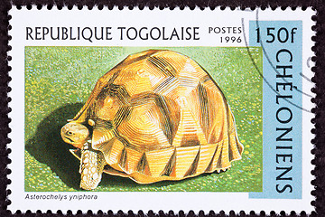 Image showing Canceled Togan Postage Stamp Angonoka, Ploughshare, Madagascar T