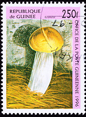 Image showing Canceled Guinea Postage Stamp Granular Mushroom