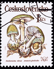 Image showing Canceled Czechoslovakian Postage Stamp Poisonous Death Cap Mushr