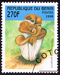 Image showing Canceled Benin Postage Stamp Clump Mushroom Hohenbuehelia Geogen