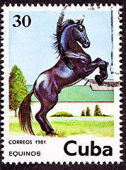 Image showing Canceled Cuban Postage Stamp Black Horse Rearing Up in Field