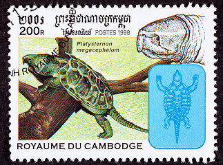 Image showing Canceled Cambodian Postage Stamp Big-headed Turtle, Platysternon