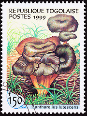 Image showing Canceled Togo Postage Stamp Clump Yellow Foot Mushroom, Canthare